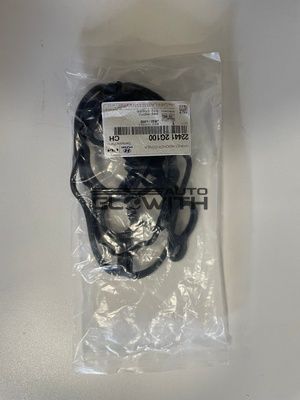 Прокладка клапанной крышки  22441-2G100 Hyundai/Kia
